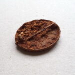 Wound Badge 1939 Black Kurland relic - Image 4