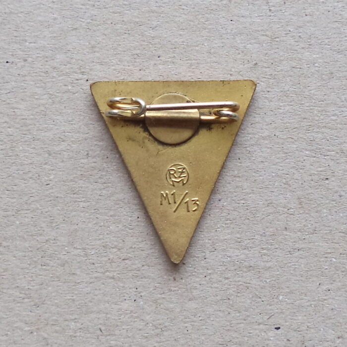 DSC02094 Frauenschaft Member Badge - NSF - Image 2