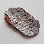 Demjansk Campaign Shield Kurland relic - Image 5